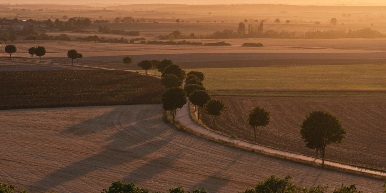 BUT CJ (Carrières Juridiques) : Parcours Administration et Justice