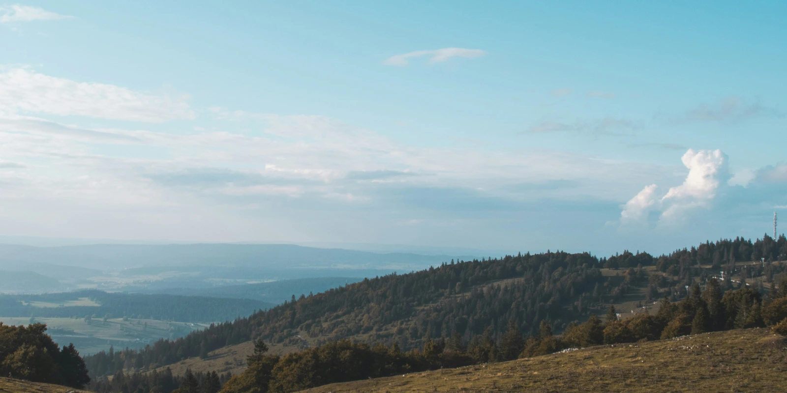 Le Parcours Entreprise et Association du DUT Carrières Juridiques