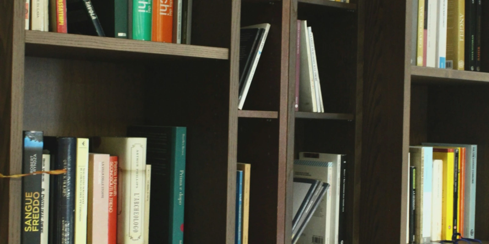 Les Options possibles en BUT CJ